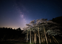 星に願いを