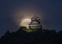 中秋の名月（１）