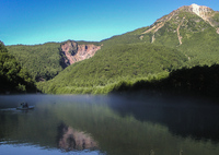 　猛　暑中お見舞い申し上げます