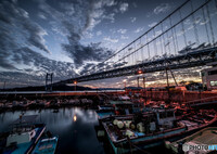 under the evening sky