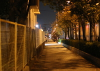 夜道
