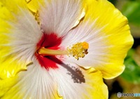 梅雨はどこへ？