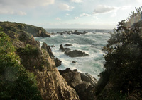 コンパクトCASIO