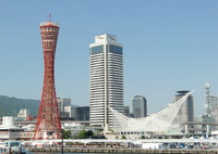 いつものお馴染みの光景