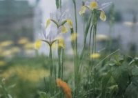 FUJIFILMのフジフィルムGX680マウント系レンズで撮影した写真(画像)を