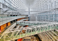 TOWN WALK - P20 lite -