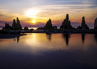 ツバメ舞う日の出