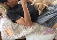 じ〜っと見つめてる