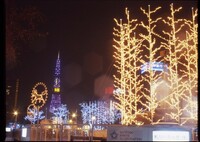 札幌ホワイトイルミネーション3