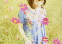 コスモス1