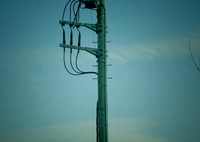 孤独な電柱