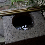 和色　№6
