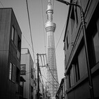 時を戻そう