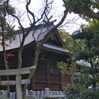 信太森葛葉稲荷神社