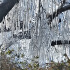 湖辺の氷柱　４