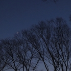 誰かが夜に笑っている
