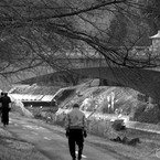 冬寒の散歩道