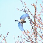 天気がいいな