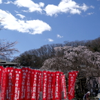 陽春 青空の下