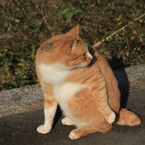 後ろの殺気・・・・