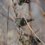 みんなでお食事タイム　   　DSC_7825