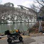 旅ゴリラ　志賀高原　丸池