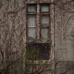 小樽の窓