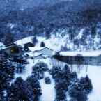 雪の村