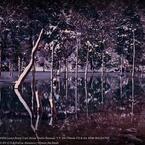 Unexplored region☆