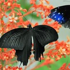 生物園２０２１～⑤