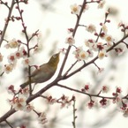 のびきってま～～す！