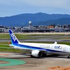 ANA 195