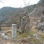 歌野川ダム