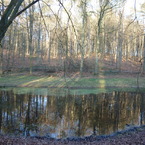 P1000348