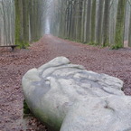 P1000392