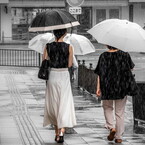 街景色･･今日も雨