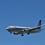 ANA 225