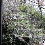 The stairs #1