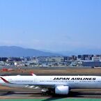 JAL 243