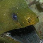 P9100062