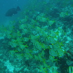 P9100063