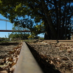 DSC_01507 (140)