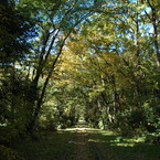 DSC_00821 (54)