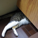 かくれんぼ。