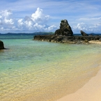 The Monkey Rock
