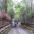 嵐山　竹林の小径