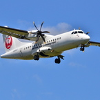 JAL 316
