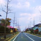 Straight road