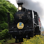 SLやまぐち号2010
