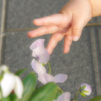 もう少し。。。